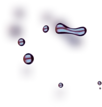 Gas 7.5 Alrex - Maximize Your Returns with Oil Profit It's Time to Take Advantage of the Trade